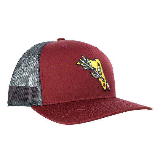 SPEAR TAILGATE SNAPBACK - TALLAHASSEE MAROON/CHARCOAL