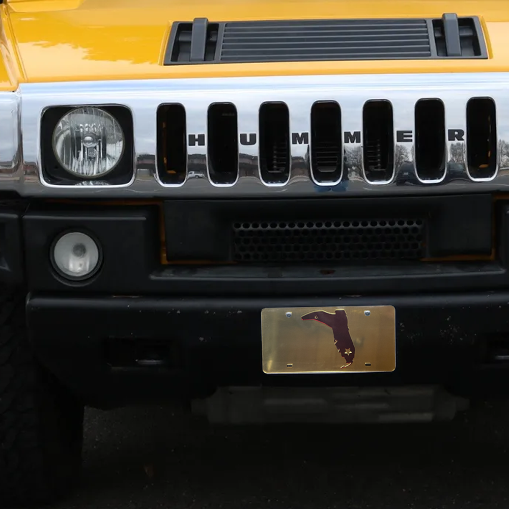 GOLD/GARNET MIRRORED LICENSE PLATE