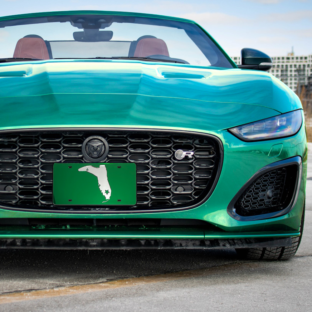 GREEN/CHROME MIRRORED LICENSE PLATE