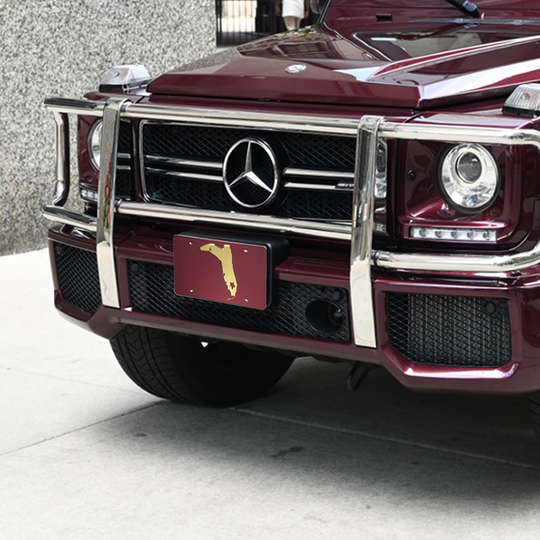 GARNET/GOLD MIRRORED LICENSE PLATE