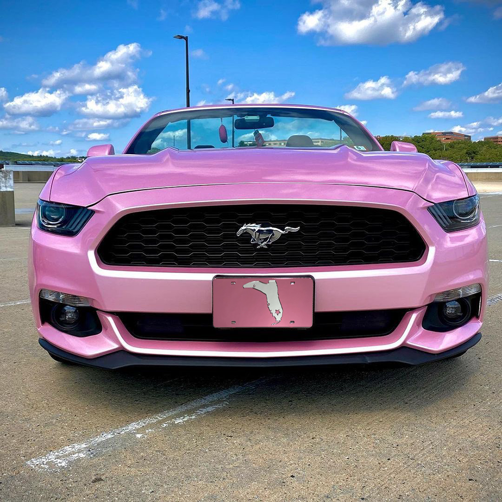 PINK/CHROME MIRRORED LICENSE PLATE