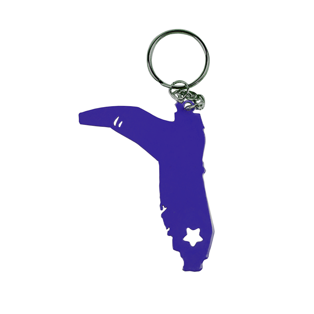 KEY CHAIN METAL