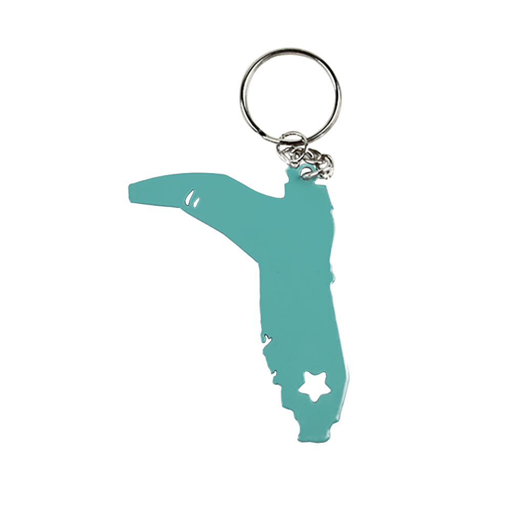 KEY CHAIN METAL