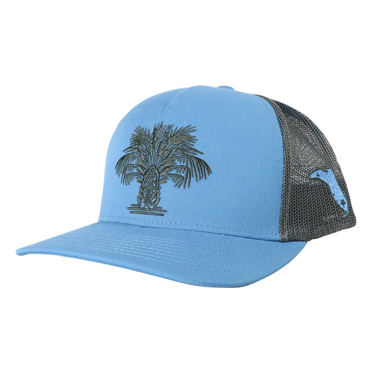 SWAMP CABBAGE COLUMBIA BLUE/GRAPHITE HAT