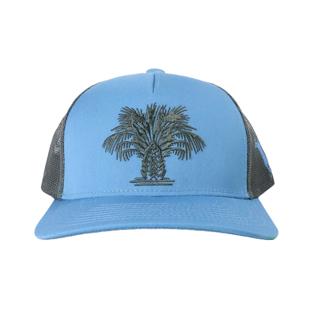 SWAMP CABBAGE COLUMBIA BLUE/GRAPHITE HAT