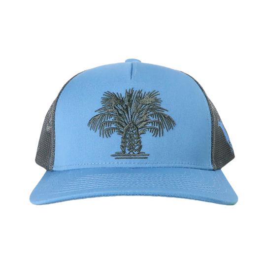 SWAMP CABBAGE COLUMBIA BLUE/GRAPHITE HAT