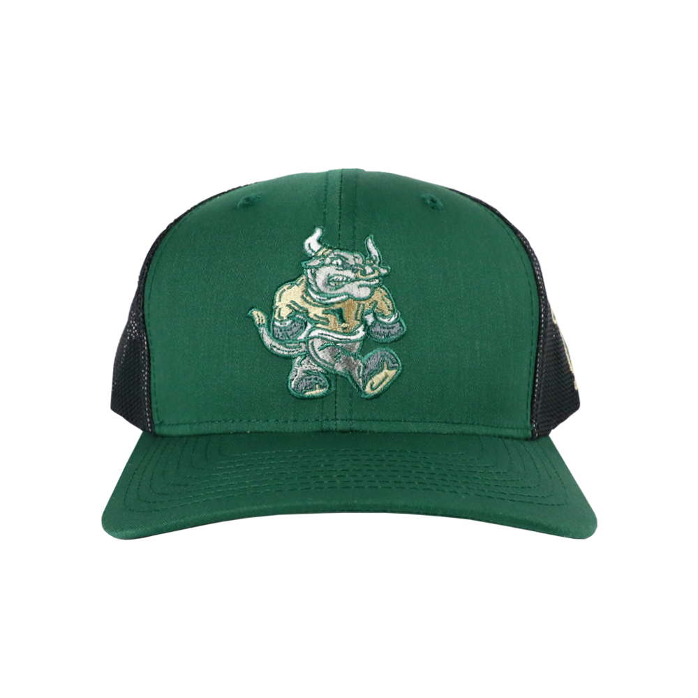 BULL TAILGATE SNAPBACK - TAMPA DARK GREEN/CHARCOAL