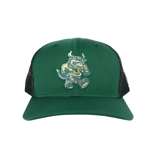 BULL TAILGATE SNAPBACK - TAMPA DARK GREEN/CHARCOAL