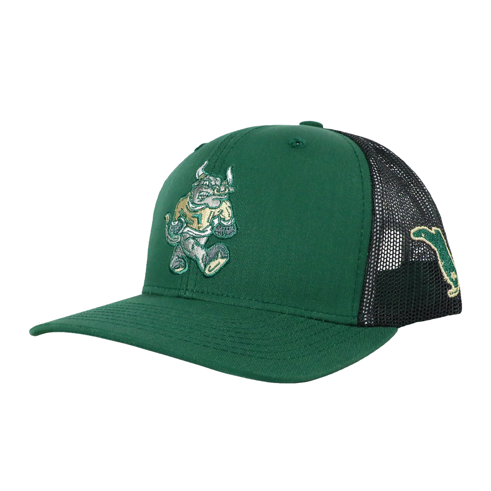 BULL TAILGATE SNAPBACK - TAMPA DARK GREEN/CHARCOAL