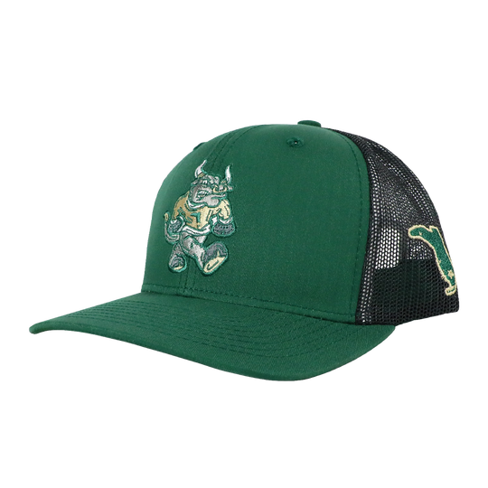 BULL TAILGATE SNAPBACK - TAMPA DARK GREEN/CHARCOAL