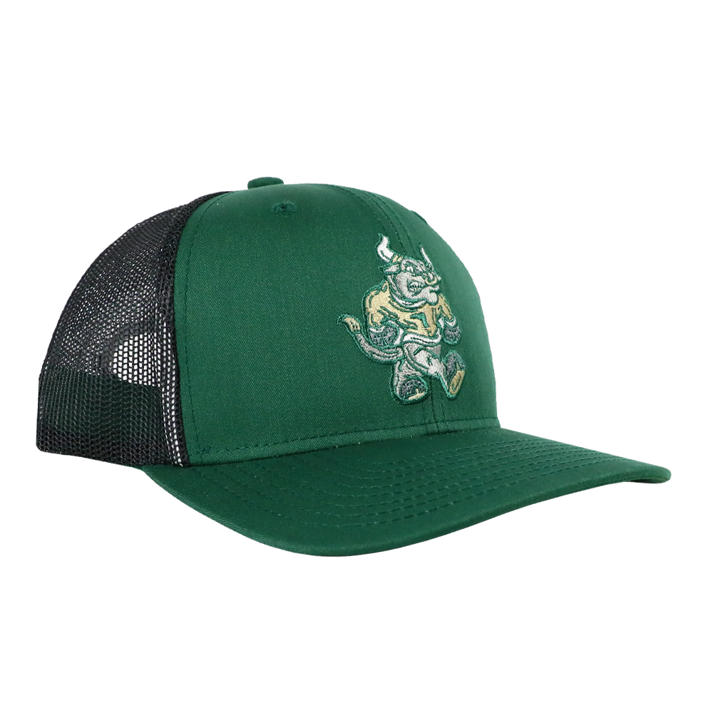 BULL TAILGATE SNAPBACK - TAMPA DARK GREEN/CHARCOAL