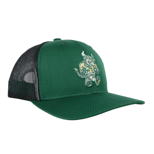 BULL TAILGATE SNAPBACK - TAMPA DARK GREEN/CHARCOAL